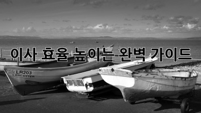 이사 효율 높이는 완벽 가이드